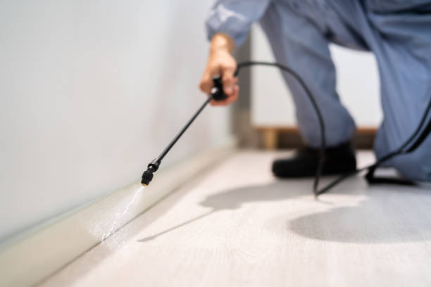 Licensed Rodent Control service in Horry County County, SC - Nex Pest Control
